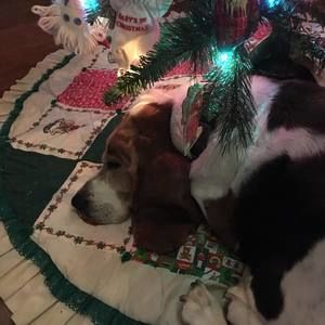 Meet your Posher, Jeanne